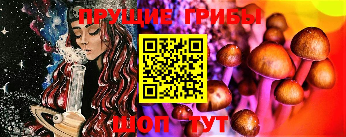 Киселёвск  Псилоцибиновые грибы Magic Shrooms  хочу наркоту  Вход с VPN 